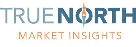 True North Market Insights: Market Research Firm Logo