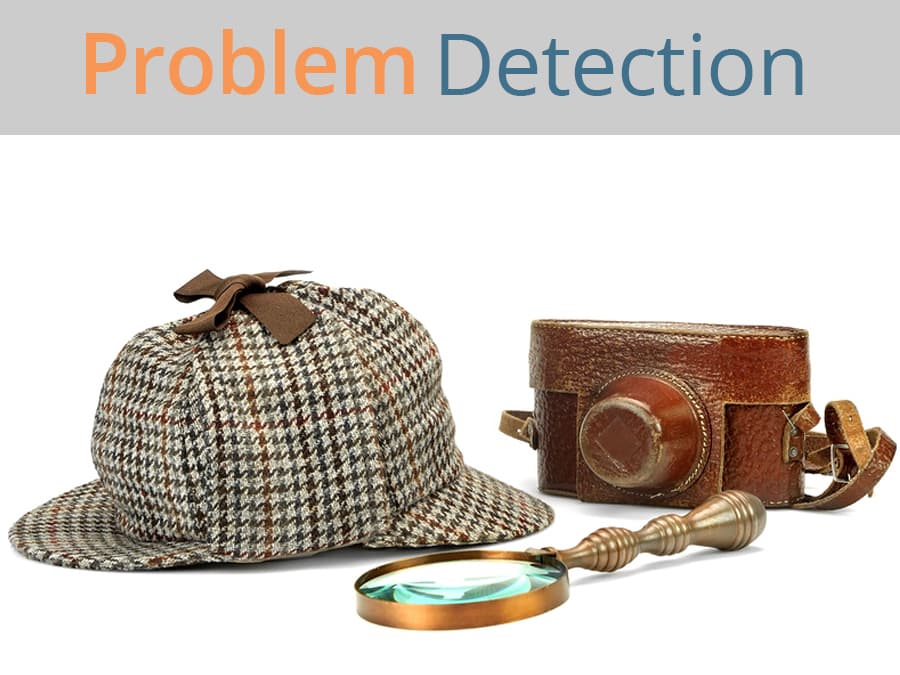 Problem Detection - True North Market Insights